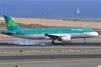 Miguel A. gueda Rguez.  (CANARY ISLANDS SPOTTING). Click to see full size photo