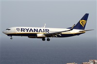 ©Alfonso Solís - Asociación Canary Islands Spotting. Click to see full size photo ©Alfonso Solís - Asociación Canary Islands Spotting. Click to see full size photo