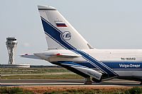Cele -Noisy Spotters. Click to see full size photo