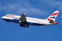 Miguel Alia - Noisy Spotters. Click to see full size photo
