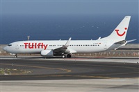 ©Alfonso Solís - Asociación Canary Islands Spotting. Click to see full size photo ©Alfonso Solís - Asociación Canary Islands Spotting. Click to see full size photo