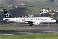 ©Nacho Rodriguez - Canary Islands Spotting. Click to see full size photo ©Nacho Rodriguez - Canary Islands Spotting. Click to see full size photo