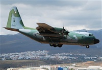 Alejandro H.L - Gran Canaria Spotters. Click to see full size photo