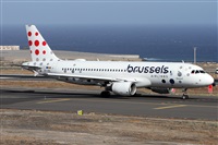 Alfonso Sols - Asociacin Canary Islands Spotting. Click to see full-size photo