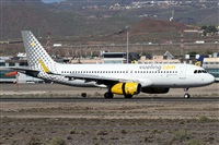 ©Alfonso Solís - Asociación Canary Islands Spotting. Click to see full size photo ©Alfonso Solís - Asociación Canary Islands Spotting. Click to see full size photo