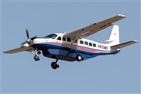 ©Adolfo Bento - Gran Canaria Spotters. Click to see full size photo ©Adolfo Bento - Gran Canaria Spotters. Click to see full size photo