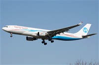 Cele -Noisy Spotters. Click to see full size photo