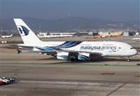 Cele -Noisy Spotters. Click to see full size photo