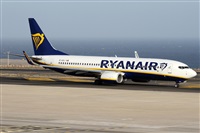©Alfonso Solís - Asociación Canary Islands Spotting. Click to see full size photo ©Alfonso Solís - Asociación Canary Islands Spotting. Click to see full size photo