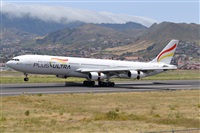 Miguel A. gueda Rguez.  (CANARY ISLANDS SPOTTING). Click to see full size photo