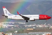 ©Adolfo Bento - Gran Canaria Spotters. Click to see full size photo ©Adolfo Bento - Gran Canaria Spotters. Click to see full size photo