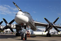 ©Maksimov Maxim - RuSpotters Team. Click to see full size photo ©Maksimov Maxim - RuSpotters Team. Click to see full size photo