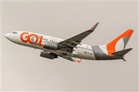 ©Naoto Goto - South American Spotters Asu-Py. Click to see full size photo