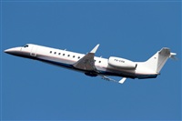Cele -Noisy Spotters. Click to see full size photo