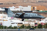 ©Adolfo Bento - Gran Canaria Spotters. Click to see full size photo ©Adolfo Bento - Gran Canaria Spotters. Click to see full size photo