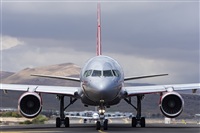 ©Daniel Santos Batista - Canary Islands Spotting. Click to see full size photo ©Daniel Santos Batista - Canary Islands Spotting. Click to see full size photo