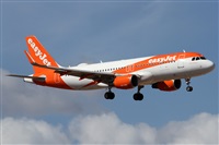 ©Alfonso Solís - Asociación Canary Islands Spotting. Click to see full size photo ©Alfonso Solís - Asociación Canary Islands Spotting. Click to see full size photo