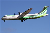 ©Alfonso Solís - Asociación Canary Islands Spotting. Click to see full size photo ©Alfonso Solís - Asociación Canary Islands Spotting. Click to see full size photo