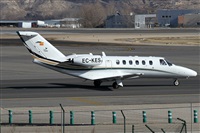 ©Alfonso Solís - Asociación Canary Islands Spotting. Click to see full size photo ©Alfonso Solís - Asociación Canary Islands Spotting. Click to see full size photo