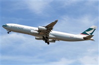 Cele -Noisy Spotters. Click to see full size photo