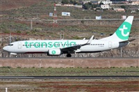 ©Alfonso Solís - Asociación Canary Islands Spotting. Click to see full size photo ©Alfonso Solís - Asociación Canary Islands Spotting. Click to see full size photo