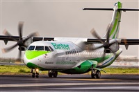 Javier de la Cruz - CANARY ISLANDS SPOTTING. Click to see full size photo