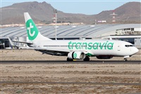©Alfonso Solís - Asociación Canary Islands Spotting. Click to see full size photo ©Alfonso Solís - Asociación Canary Islands Spotting. Click to see full size photo