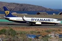 Alfonso Sols - Asociacin Canary Islands Spotting. Click to see full size photo