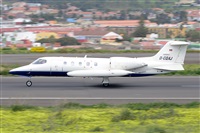 Miguel A. gueda Rguez.  (CANARY ISLANDS SPOTTING). Click to see full size photo