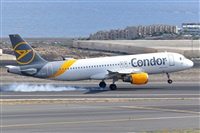 Miguel A. gueda Rguez.  (CANARY ISLANDS SPOTTING). Click to see full size photo