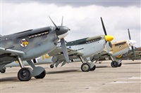 Click here to see full size photo