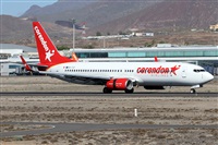 ©Alfonso Solís - Asociación Canary Islands Spotting. Click to see full-size photo