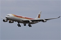 ©Alfonso Solís - Asociación Canary Islands Spotting. Click to see full size photo ©Alfonso Solís - Asociación Canary Islands Spotting. Click to see full size photo