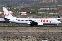©Alfonso Solís - Asociación Canary Islands Spotting. Click to see full size photo ©Alfonso Solís - Asociación Canary Islands Spotting. Click to see full size photo