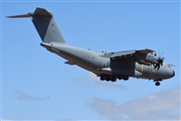 ©J. Victor Vega-Gran Canaria Spotters. Click to see full size photo ©J. Victor Vega-Gran Canaria Spotters. Click to see full size photo