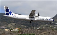 ©Luis Rguez - La Palma Spotting. Click to see full size photo ©Luis Rguez - La Palma Spotting. Click to see full size photo