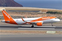 Miguel A. gueda Rguez.  (CANARY ISLANDS SPOTTING). Click to see full size photo