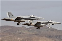 ©Adolfo Bento - Gran Canaria Spotters. Click to see full size photo ©Adolfo Bento - Gran Canaria Spotters. Click to see full size photo