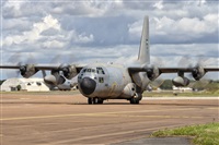 Adolfo Bento - Gran Canaria Spotters. Click to see full size photo