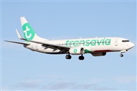 ©Alfonso Solís - Asociación Canary Islands Spotting. Click to see full size photo ©Alfonso Solís - Asociación Canary Islands Spotting. Click to see full size photo