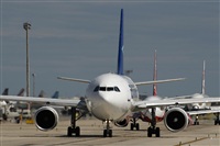 Cele -Noisy Spotters. Click to see full size photo