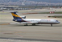 Cele -Noisy Spotters. Click to see full size photo