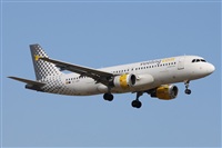 ©Alfonso Solís - Asociación Canary Islands Spotting. Click to see full size photo ©Alfonso Solís - Asociación Canary Islands Spotting. Click to see full size photo