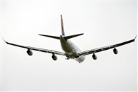 Miguel Martin Cordeiro - Iberian Spotters. Click to see full size photo