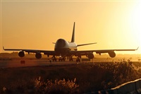 Cele -Noisy Spotters. Click to see full size photo