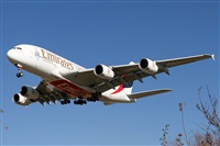 Cele -Noisy Spotters. Click to see full size photo
