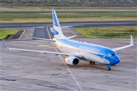©Naoto Goto - South American Spotters Asu-Py. Click to see full size photo