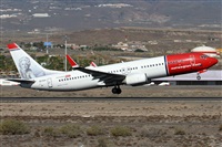 ©Alfonso Solís - Asociación Canary Islands Spotting. Click to see full size photo ©Alfonso Solís - Asociación Canary Islands Spotting. Click to see full size photo