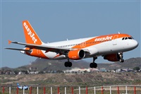 ©Alfonso Solís - Asociación Canary Islands Spotting. Click to see full size photo ©Alfonso Solís - Asociación Canary Islands Spotting. Click to see full size photo