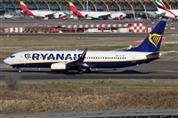©Alfonso Solís - Asociación Canary Islands Spotting. Click to see full size photo ©Alfonso Solís - Asociación Canary Islands Spotting. Click to see full size photo